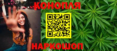 прущие грибы Апшеронск